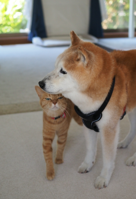 8日ブログ１