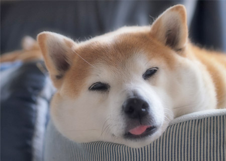 24日ブログ4.jpg