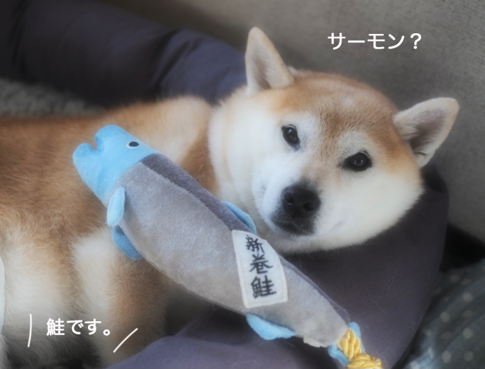 20日ブログ４