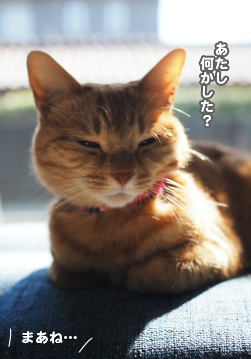 23日夕ブログ１０