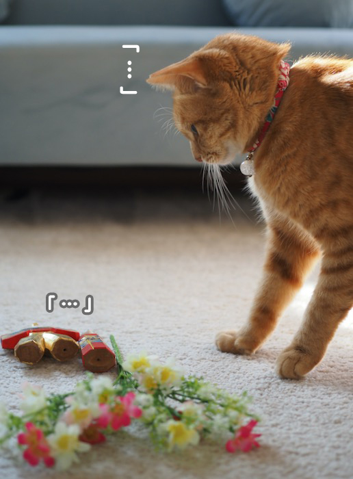 3日ブログ６