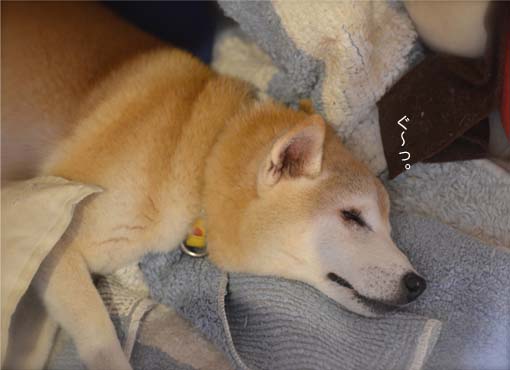 31日ブログ12.jpg