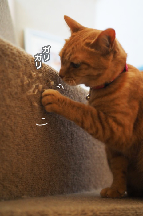 2日夜ブログ７