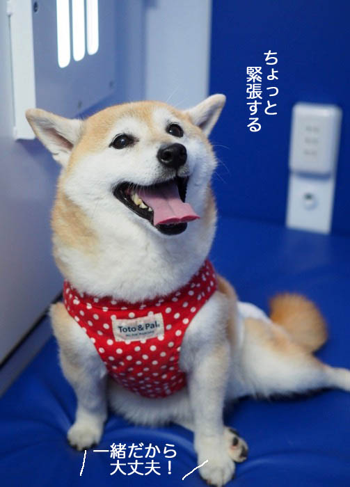 4日夜ブログ５