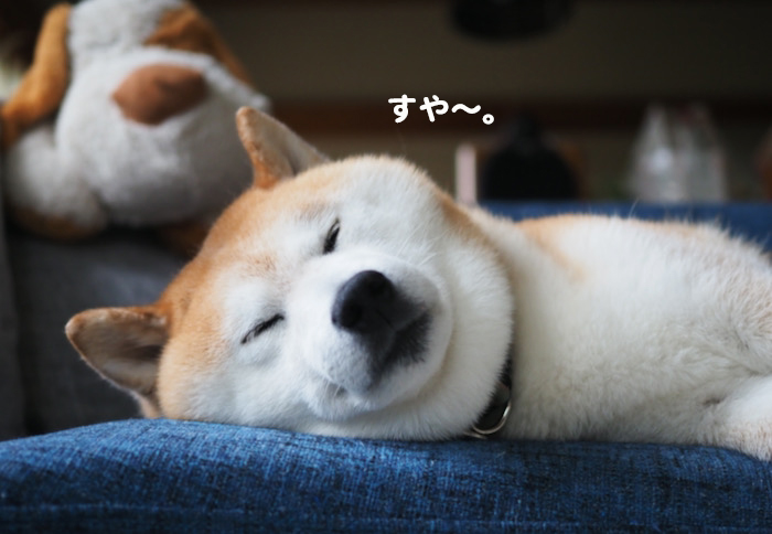 8日ブログ２