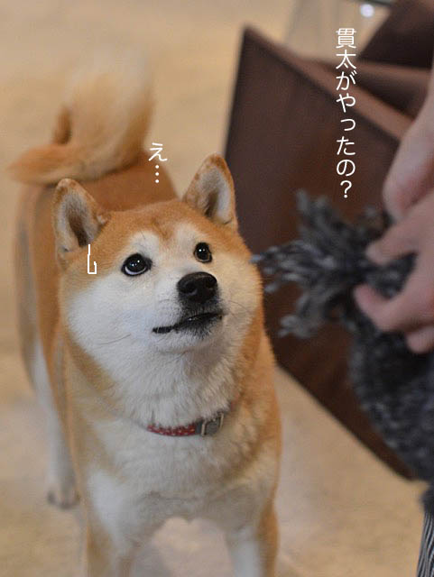 27日ブログ9