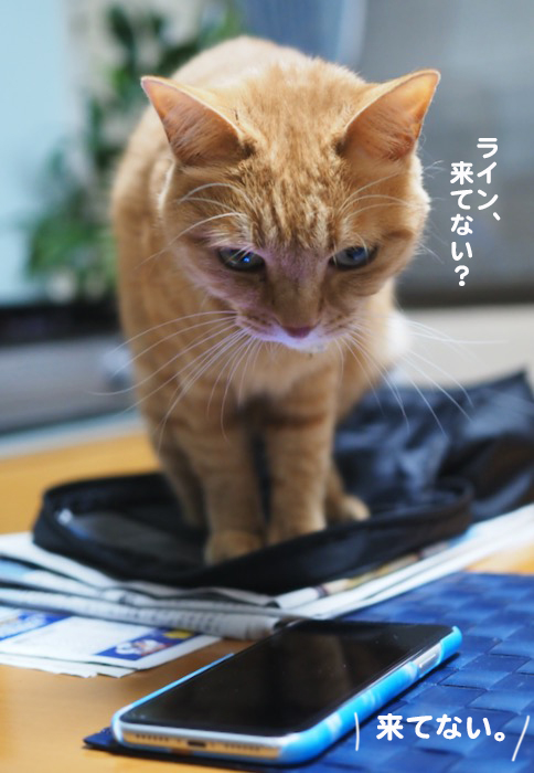26日ブログ５