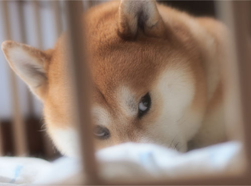 4日ブログ13.jpg