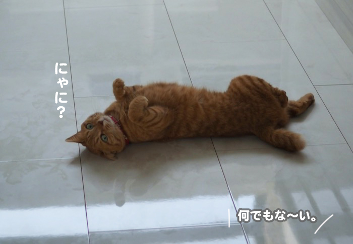 16日夕ブログ５
