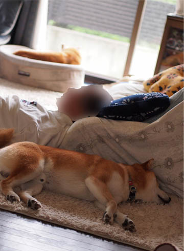 23日ブログ5.jpg