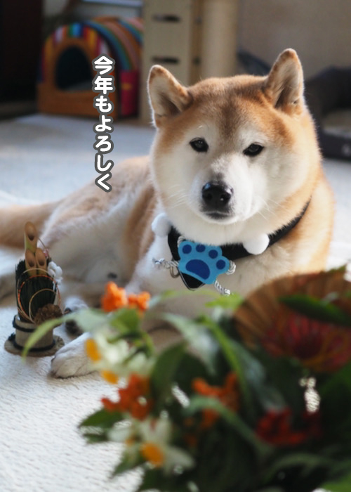 1日ブログ朝５