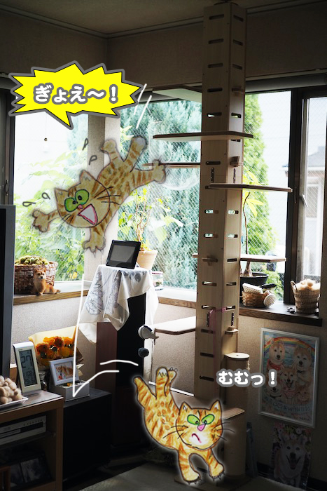 9日夕ブログ６