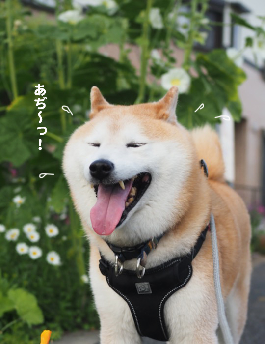 19日ブログ３