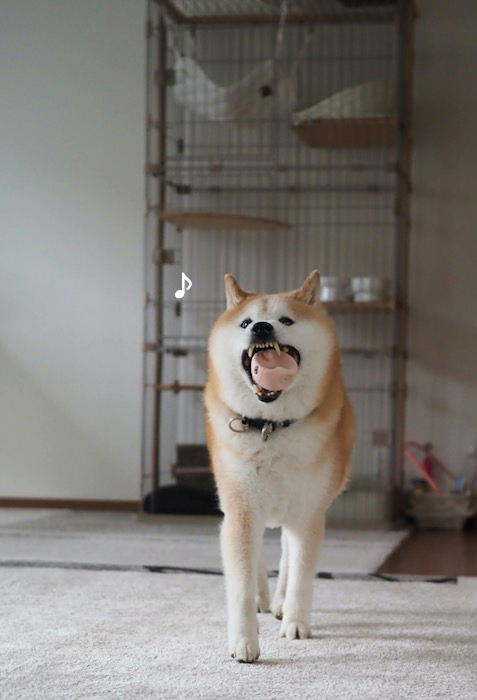 16日夕ブログ６