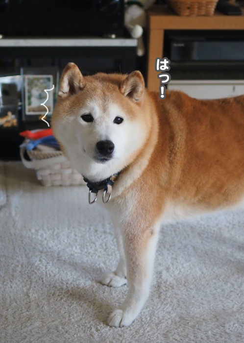 4日夕ブログ２