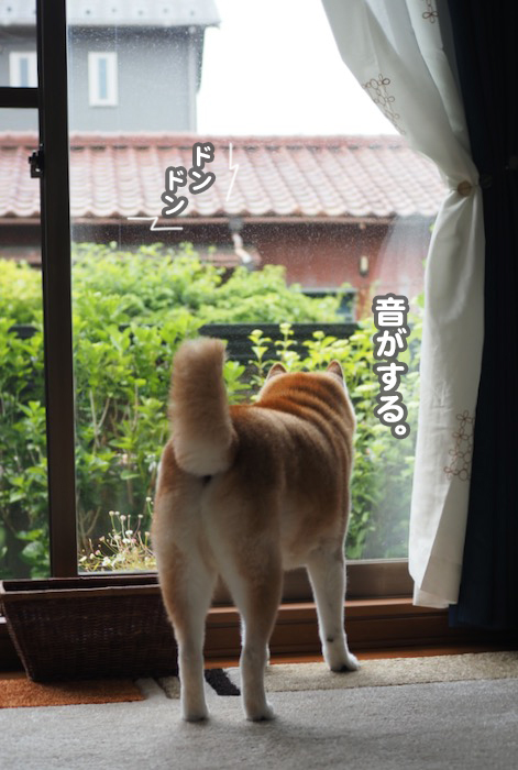 22日夕ブログ３