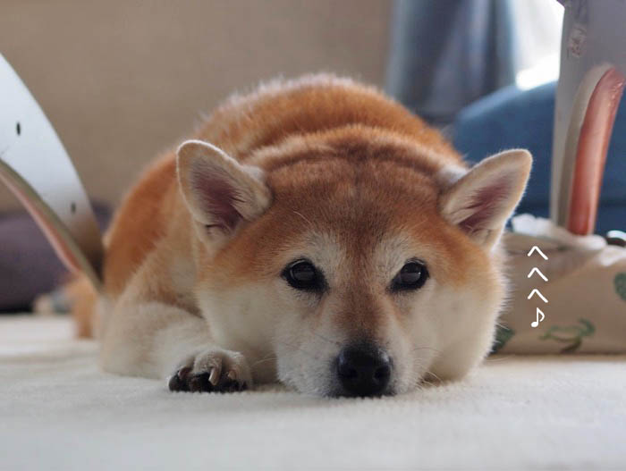 14日夜ブログ４