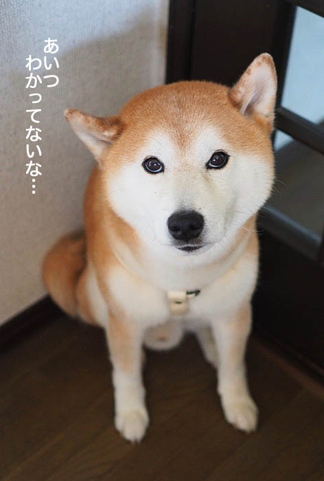 30日朝ブログ２