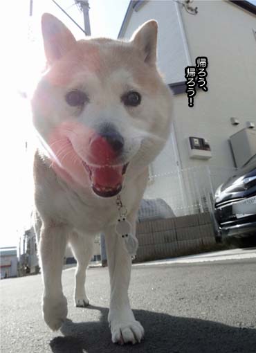 10日ブログ5.jpg