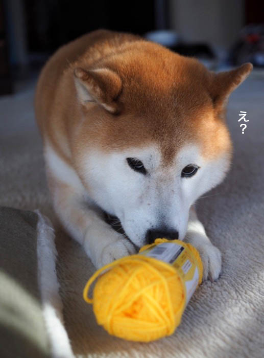 1日夜ブログ４