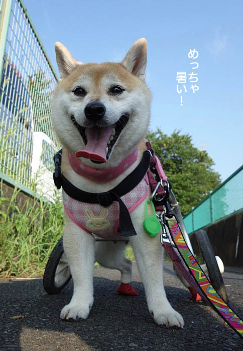 31日ブログ５