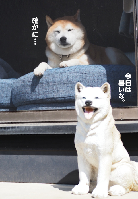 10日ブログ３