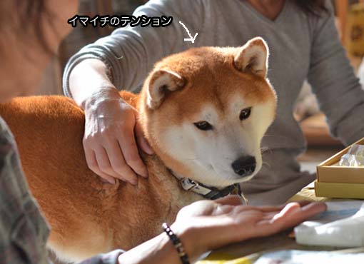 22日ブログ18.jpg