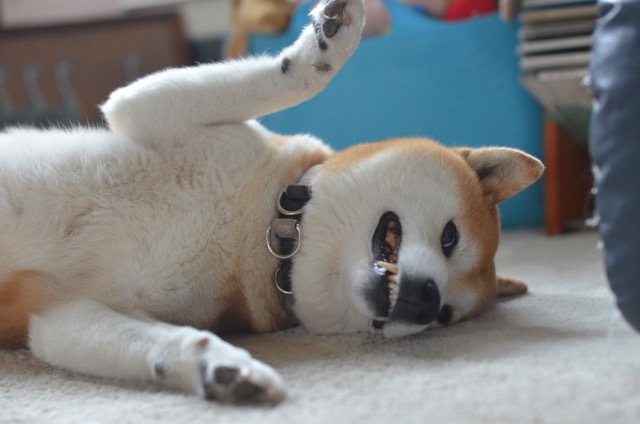 2日ブログ9