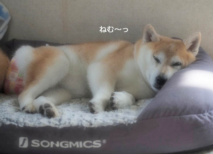 30日午後ブログ６