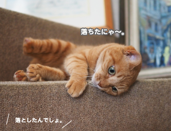 15日夕ブログ５