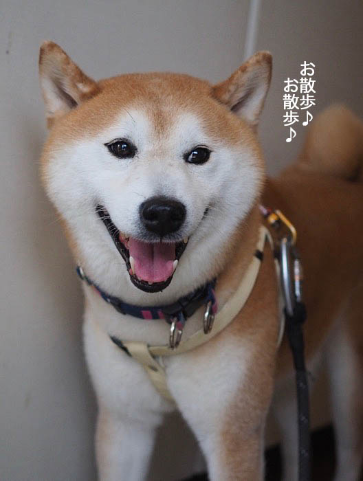 22日夜ブログ５