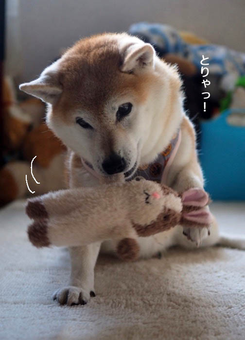 26日ブログ１