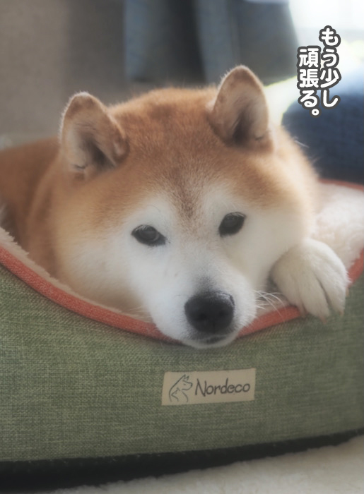 27日ブログ４