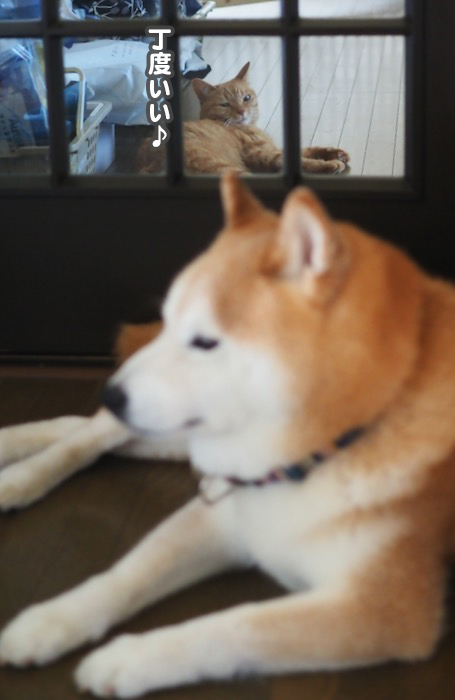 7日ブログ4