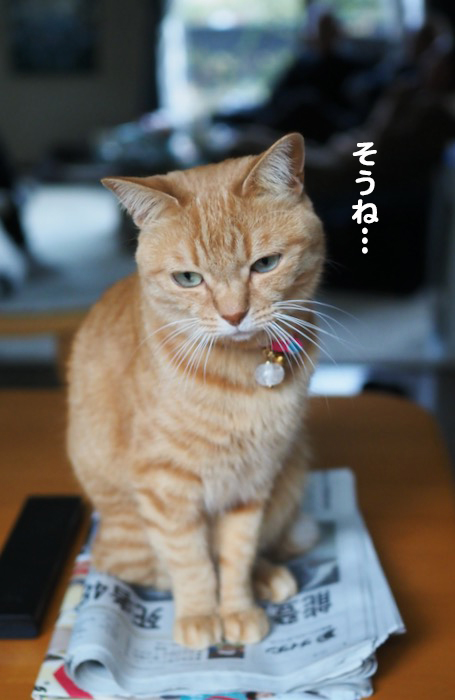 4日ブログ５