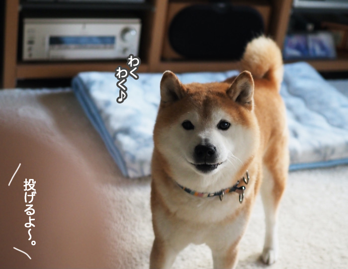 22日夜ブログ５