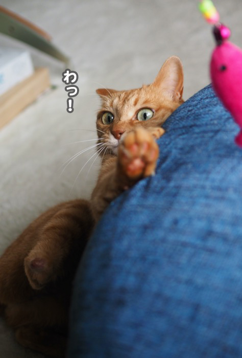 25日夕ブログ１２