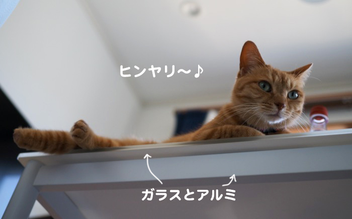 21日ブログ２