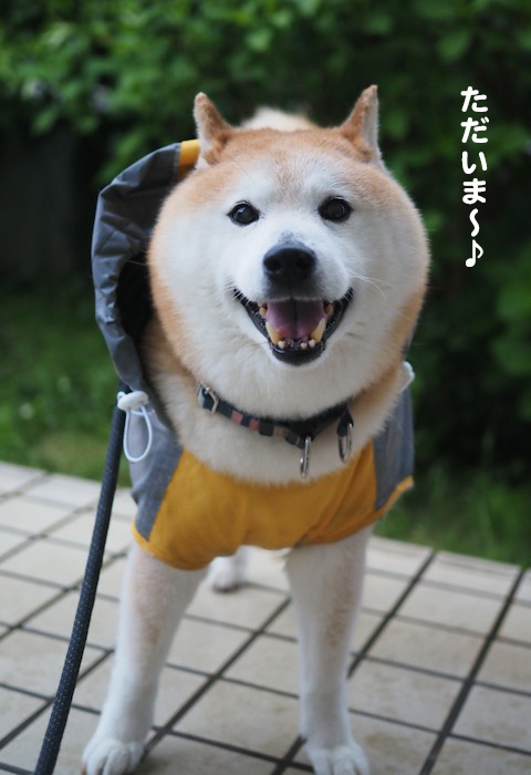 8日ブログ４