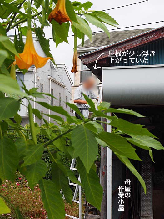10日ブログ２