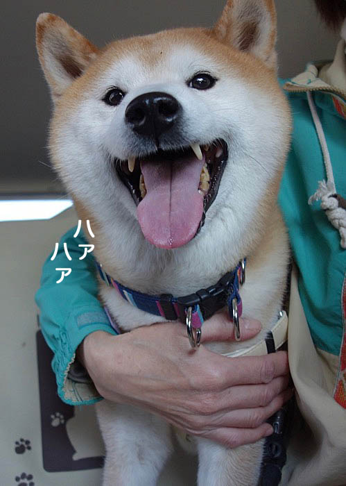 27日ブログ3