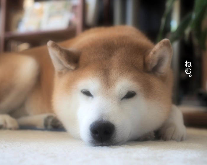 18日夜ブログ２