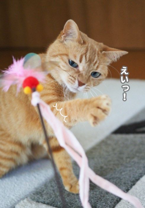16日夕ブログ７