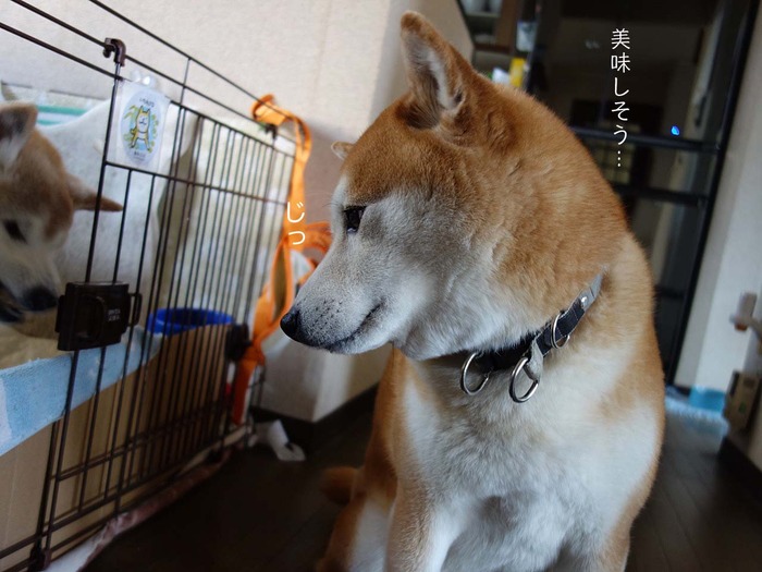 8日ブログ5