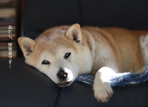 28日ブログ3.jpg