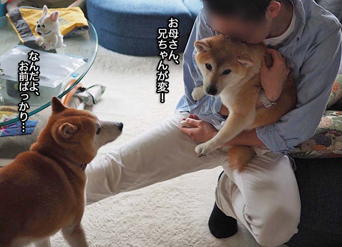 15日ブログ４