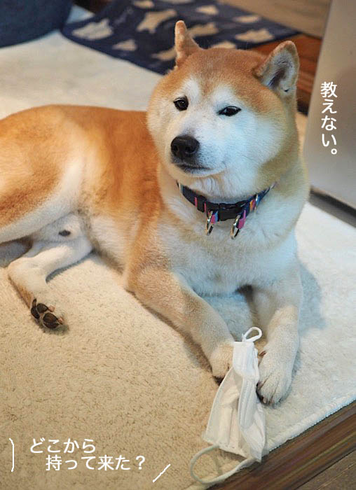 4日ブログ２