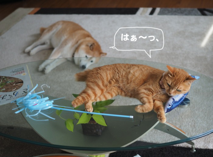 10日ブログ１