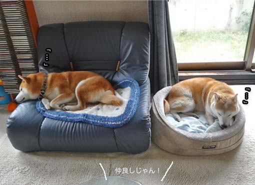 25日ブログ4.jpg