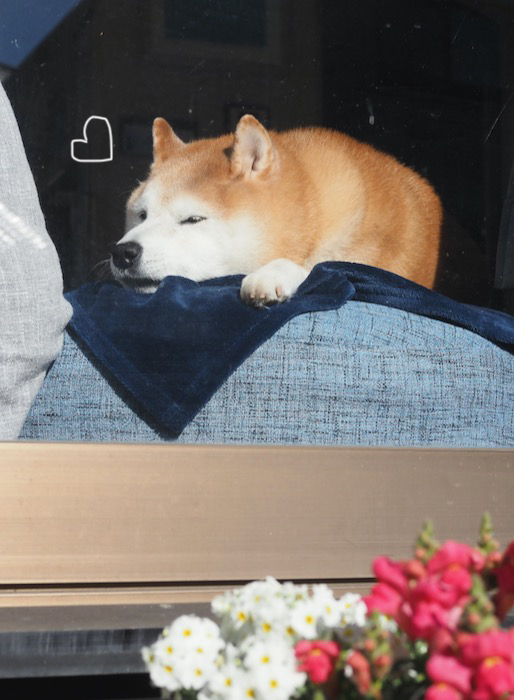 21日ブログ２